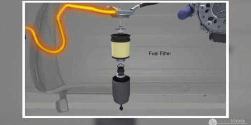 Fuel Filter